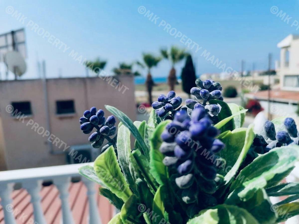 Lysia Sea-View Apartment ラルナカ エクステリア 写真
